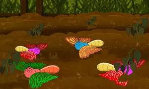 Chuyện gì xảy ra nếu toàn bộ bướm biến mất?