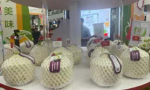 Dừa Bến Tre lần đầu xuất chính ngạch sang Trung Quốc