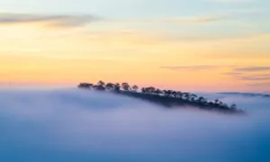 'Săn' sương sớm trên ba ngọn đồi ở Đà Lạt