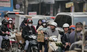 Dân số Việt Nam đứng thứ bao nhiêu trên thế giới?